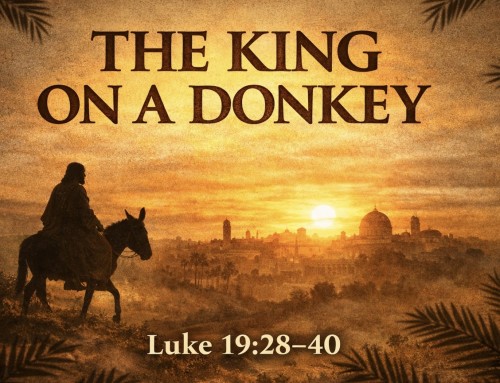 The King on a Donkey