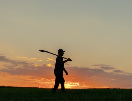 When God Hands You a Shovel